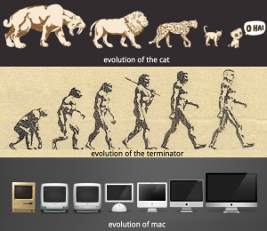 evolution analogies