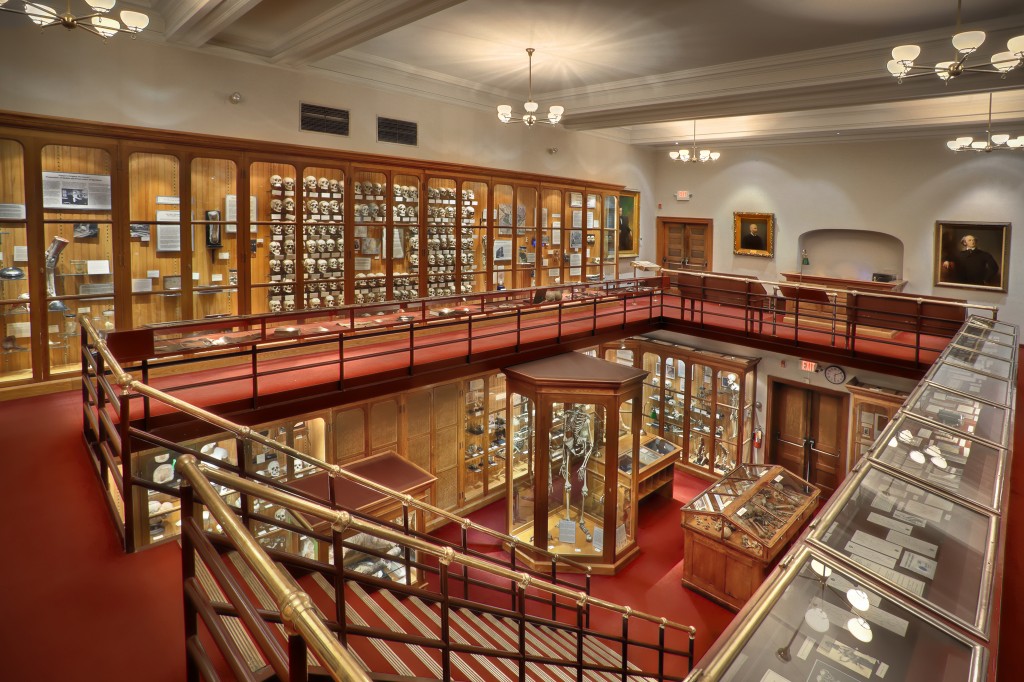 Main Gallery of The Mutter Museum