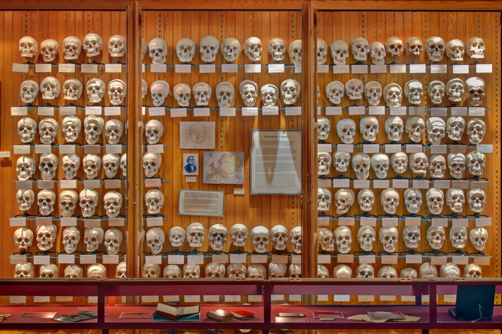 Hyrtl Skull Collection (2009). 
